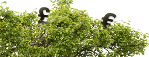 Landing Page | Branch Out